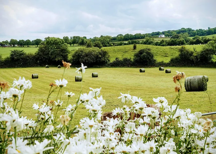 Nyaraló Coolanowle Self Catering *