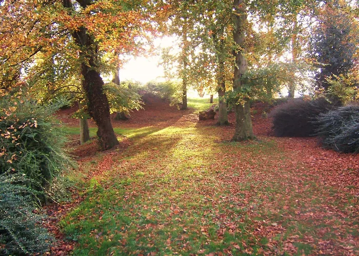 Coolanowle Self Catering Tatil Evi